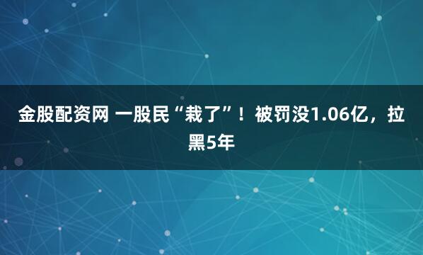 金股配资网 一股民“栽了”！被罚没1.06亿，拉黑5年